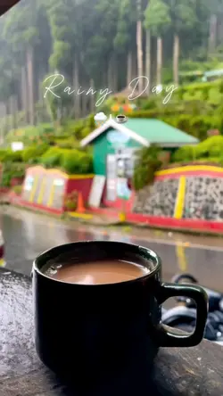 Rainy day