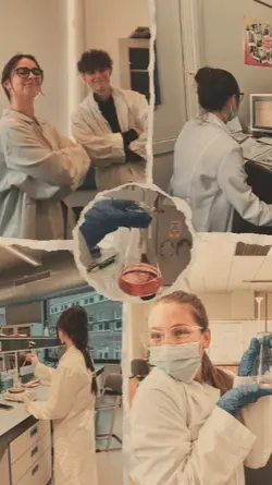laboratory 