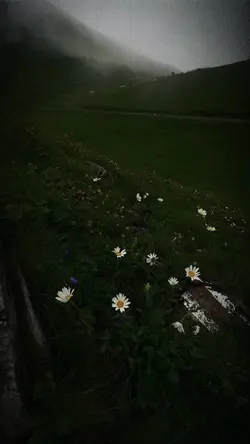 Tetap semangat