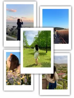 5Pic Aesthetic Frame