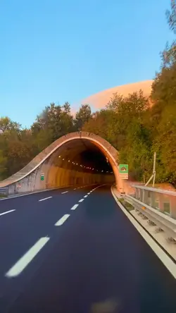 4 video road trip