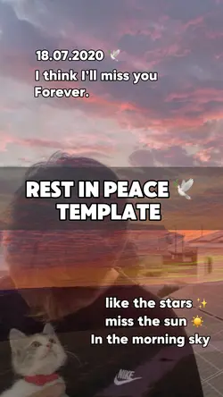Rip 🕊️