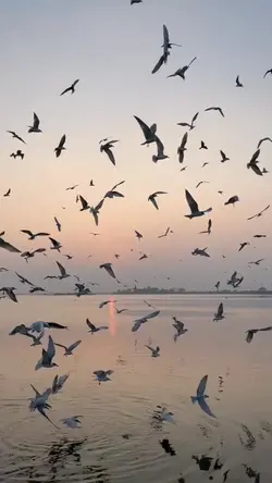 Slowmotion edit