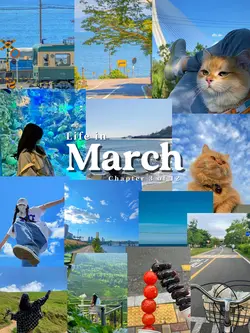 MARCH DUMP