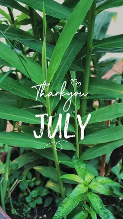 Thankyou july