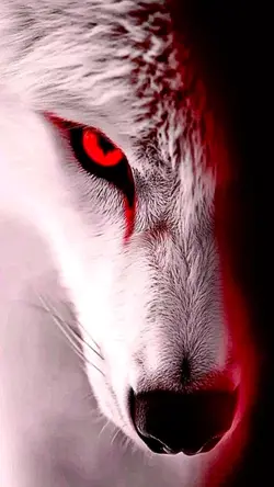 Animal I have become