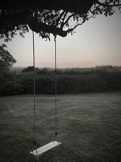 someone to stay