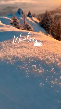 Winter Vibes