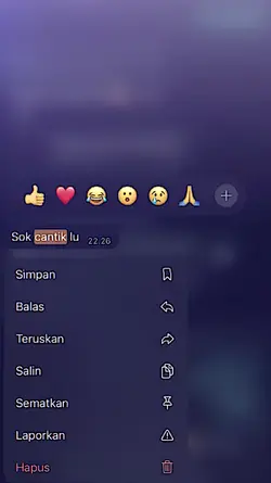 sok cantik lu