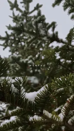 winter