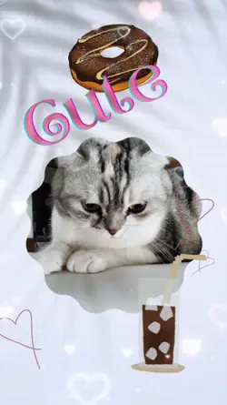 ミュージック