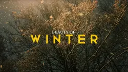 Winter template