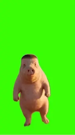 Pig/Porco