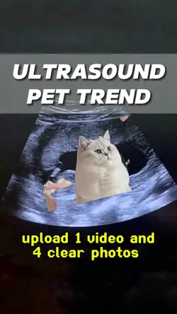 Pet Ultrasound Trend