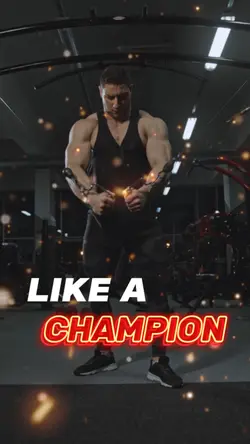 like a champion