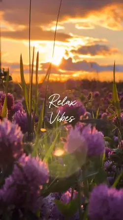 Relax Vibes 