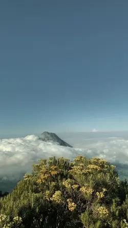 cinematic hd