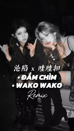 Đắm Chìm x Wako Wako