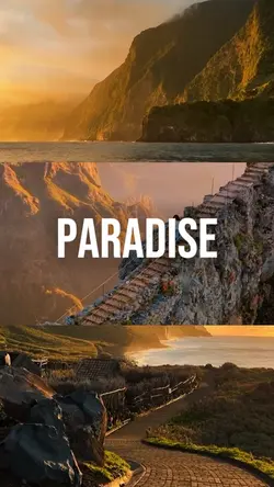 Paradise | Travel