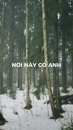 [2] Ảnh