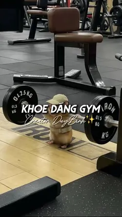 KHOE DÁNG GYM