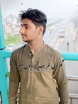 ہاں جی