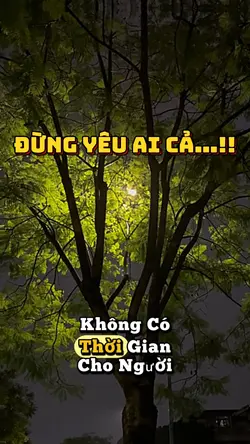 Đừng yêu ai cả