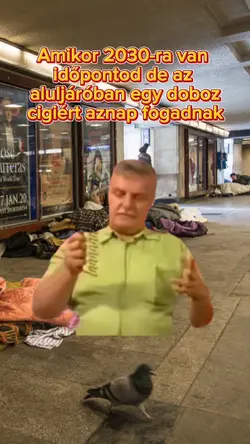 Orvos