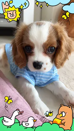 ペットAI🐶