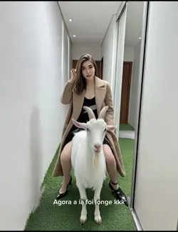 Meu bode 🐐