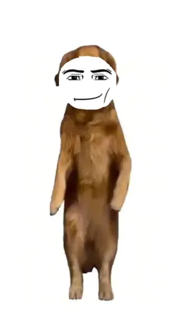dancin doggie 