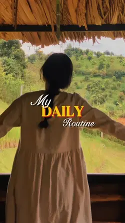My daily routine