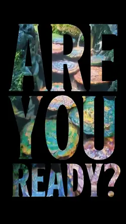 Are You Ready