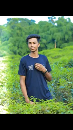 tamplare
