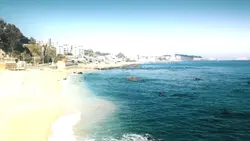 Slow motion landscap