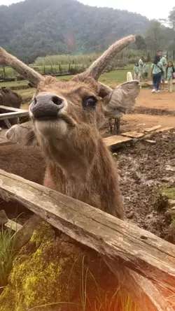 travel zoo