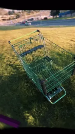 Shopping cart edit