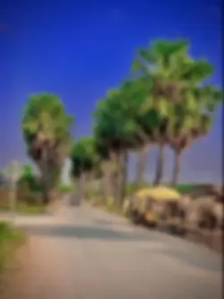 នូ៚Nou