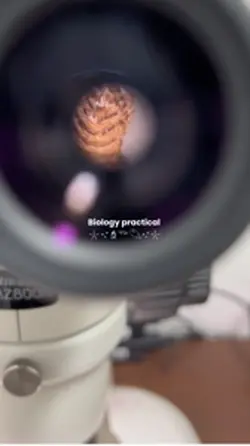 Laboratorium vibes