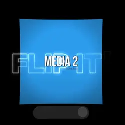 FLIP IT!
