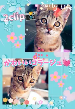 コラージュ/2clip