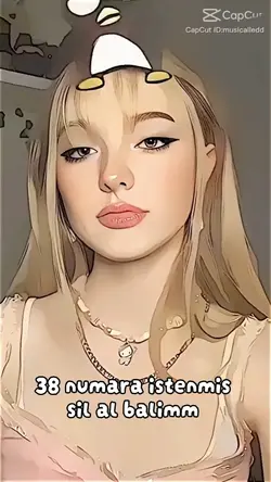 38 numara