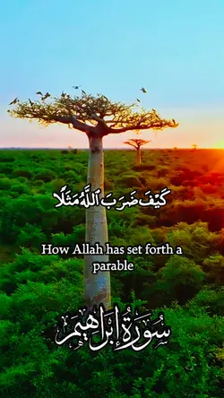 Quran template 