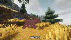 MINECRAFT 