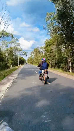 Percepatan slowmo