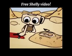Free Shelly video!!