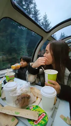 Train Travel