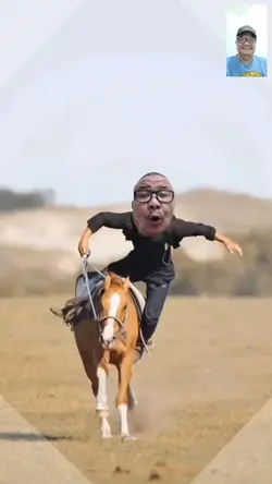 Horse rider 