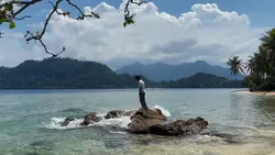 VERSI LANDSCAPE
