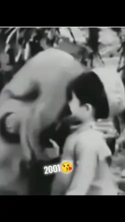 Maa